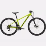 Specialized Bicicleta Rockhopper 29 Verde Oliva Satinado/Negro