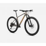 Bicicleta MTB Alma H30 12 Velocidades Orbea
