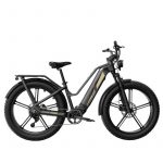 Fiido Bicicleta Eléctrica Titan Cargo 750W 135 km