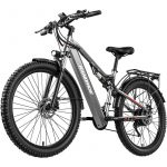 Bicicleta Eléctrica YG90 17 Ah RANDRIDE